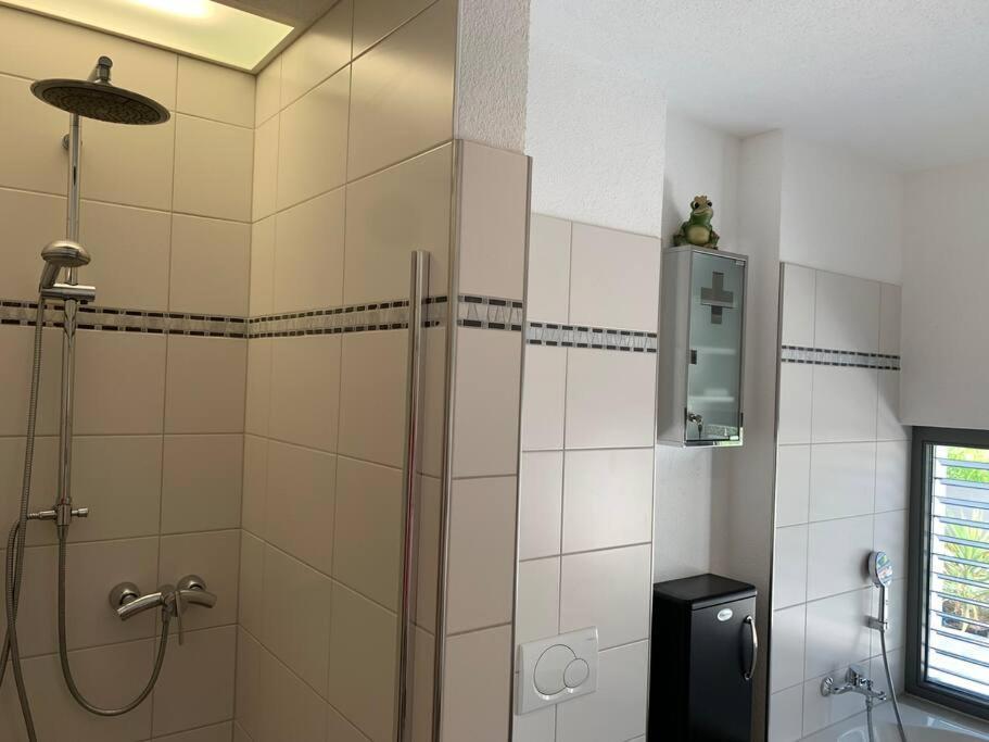 Panorama Apartment Kandern Εξωτερικό φωτογραφία